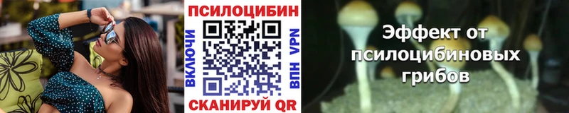 Псилоцибиновые грибы Cubensis  Купить закладки  Туапсе 